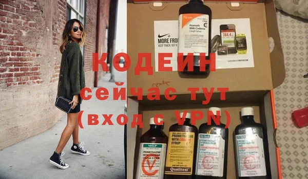 трава Коряжма