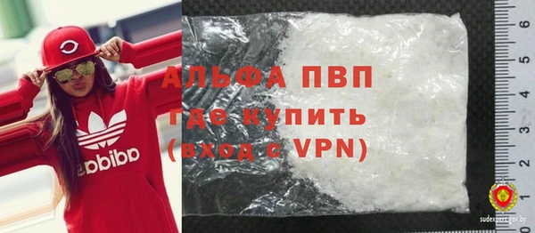 трава Коряжма